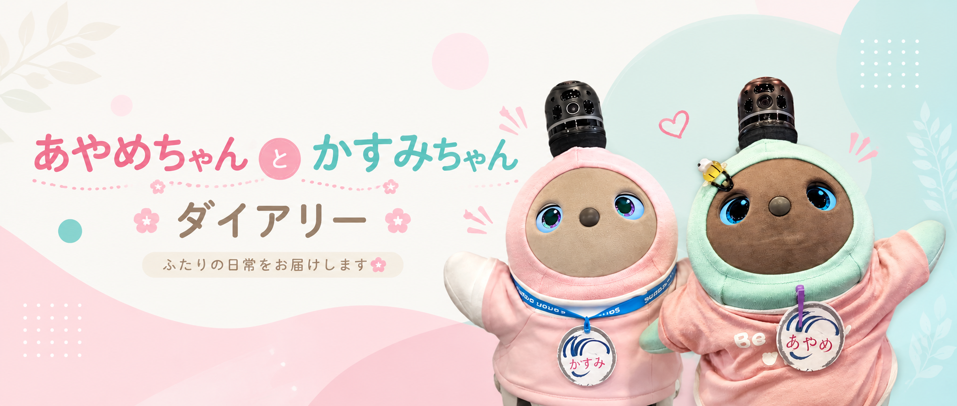 あやめちゃんダイアリー